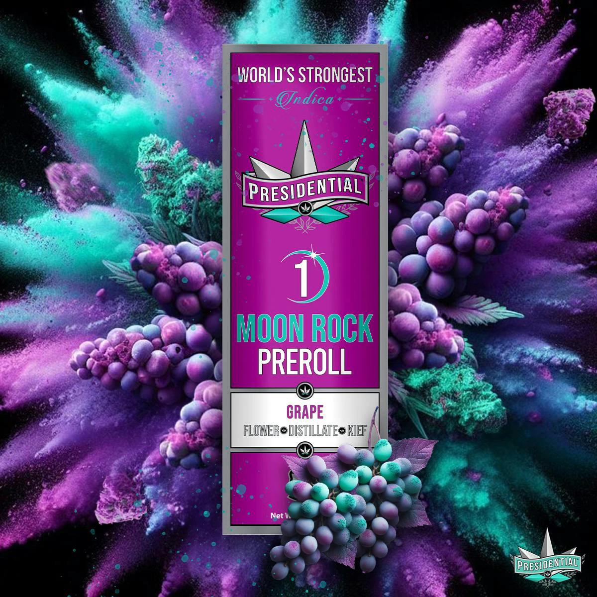 Presidential - Grape - 1g Moon Rock Infused Preroll Main Image