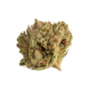 Canna Cure | 3.5g Flower Jar | GG4 | Indica-Hybrid