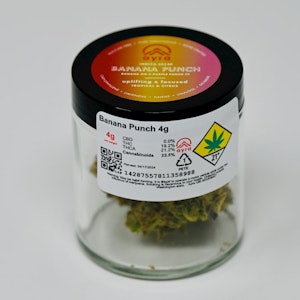 Ayra - Ayra | Banana Punch | DOH | 4g