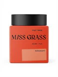 Kilimanjaro -Sativa- 25.78% THC | 3.5g (Flower) | Miss Grass- P5 BACK