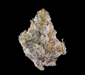 Maven - [Maven] Flower - 3.5g - French Laundry (H)