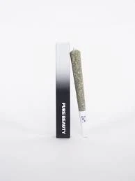 Pure Beauty - [Pure Beauty] Infused Solventless Preroll - 1g - Hybrid (H) Main Image