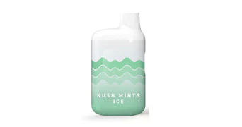 Tempo - Kush Mints Ice AIO - 1g