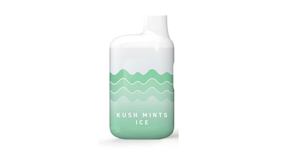 TEMPO - Tempo - Kush Mints Ice AIO - 1g