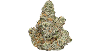 CAM - Kush Mints Private Reserve - 3.5g