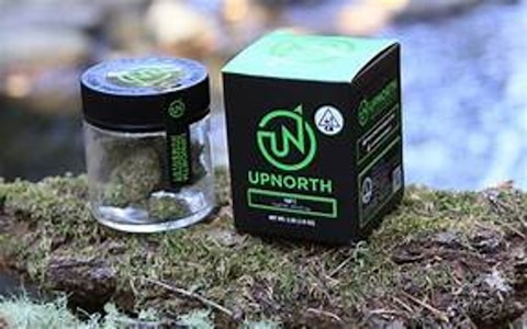 UpNorth - 3.5g SFV OG - Flower - UpNorth