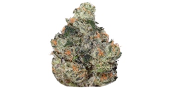 CAM - Bubba's Girl Private Reserve - 3.5g