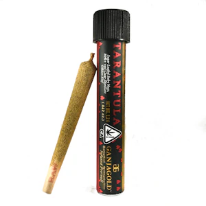 Ganja Gold - Red Tarantula (H) - Ganja Gold