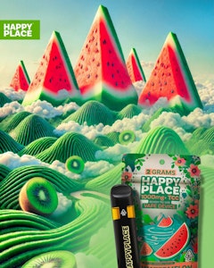 Happy Place - Happy Place Kiwi Watermelon 2g Disposable