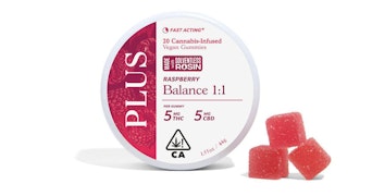 Plus - Raspberry 1:1 Balance Solventless Rosin Gummies - 200mg