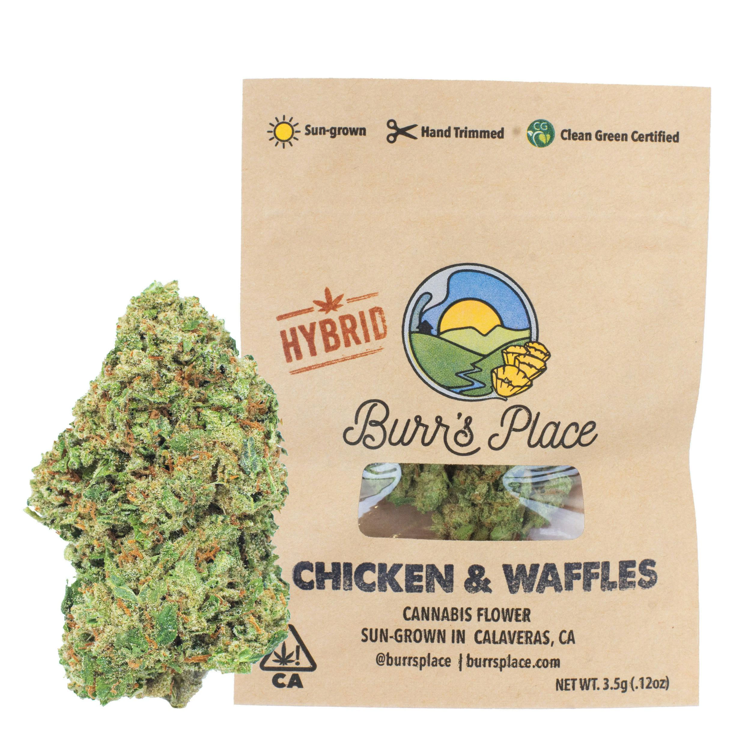 Burr's Place - Burr's Place - Flower - Sun Grown - Chicken N' Wafflez - 3.5g Main Image