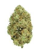 Burr's Place - Flower - Jelly Donutz - 3.5g