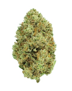 Burr's Place - Burr's Place - Flower - Jelly Donutz - 3.5g