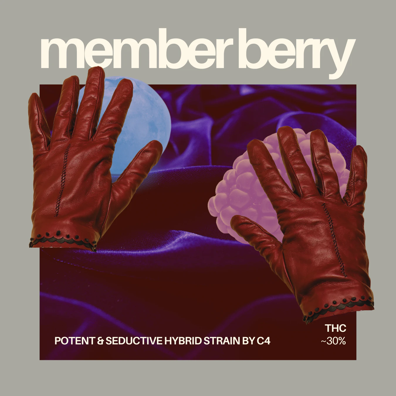 C4 - C4 - MEMBER BERRY 3.5 GRAMS Main Image