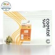 Orange 43 - 28g (IH) - Coastal Sun