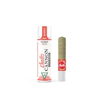 Gelonade (S) | 1.3g Rosin Preroll | Jeeter Cannon