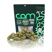 CAM - Flower - Kush Mints - 14g