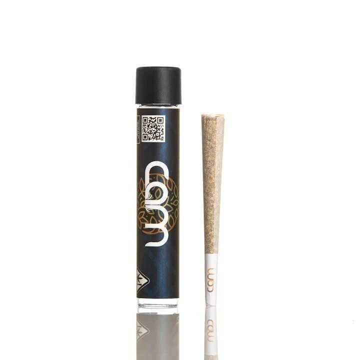 CAM - Cam - Honey Runtz (H) - Joint - 1g Main Image