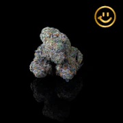 Excolo | Oregon Trail | indoor flower