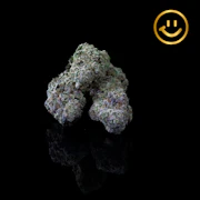 Excolo | London Fog | indoor flower