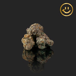 Coastal Cultivation | Carbon Candy | indoor flower