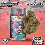 Sluggers - Berry Poppins 5g