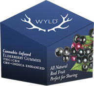 Wyld - Elderberry 2:1 THC:CBN Gummies 100mg