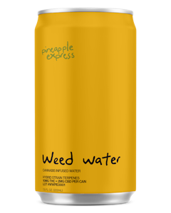 No Wave - No Wave | Pineapple Express Weed Water | Singles