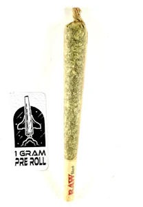 PROHIBITION 37 - P37 - Night Moves #1- 1 G - PRE ROLL