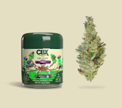 GM-uhOh (H) | 3.5g Jar | Cannabiotix