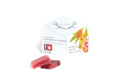 Wyld | Pomegranate 200mg