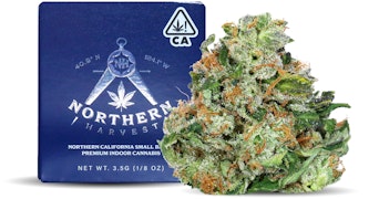 Northern Harvest - Sour OG - 3.5g