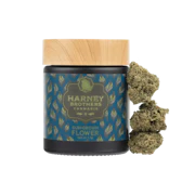 Harney Brothers | Hella Jelly | 3.5g | Flower