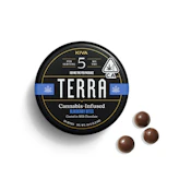 Kiva Terra Blueberries (H) Milk Chocolate 100mg