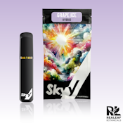 Skyy | 2g Disposable | Grape Ice | 2g