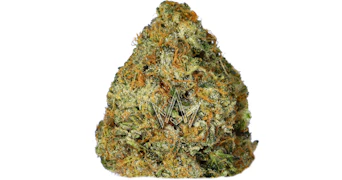 Sticky Status - Royal Wedding Cake - 3.5g