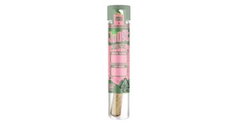 Joost - Grape Stank x Lemon Cherry Cake Infused Pre-Roll - 1g