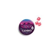 Kiva Camino Gummies 100mg Pride Passionfruit Punch $20