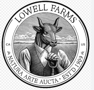 Lowell - Lowell Bigs 14g Cherry Lemon Who