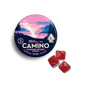 Kiva Camino Wild Berry 5mg THC 'Chill' Gummies
