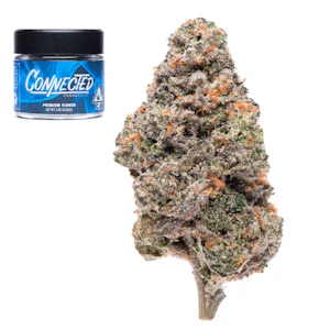 Connected Cannabis Co. - Biscotti X Gushers | Indoor Flower 3.5g | Connected