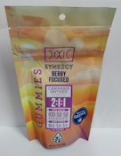 Synergy Berry 200mg 2:1:1 Focused Gummies - Dixie