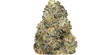 Phases - Muse Reverie - 3.5g