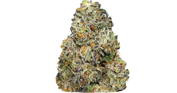 PHASES - Phases - Muse Reverie - 3.5g