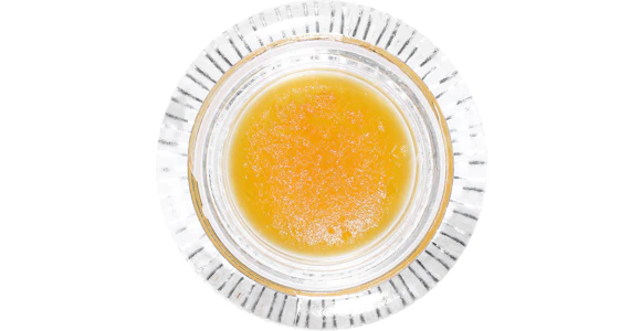 ABX - ABX - G-Tank Badder - 1g