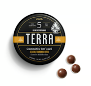 Milk Sea Salt Caramel Terra Bites 20pk - 100mg