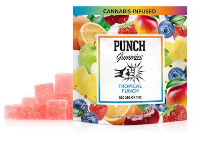 Punch - Tropical Punch | 100mg Gummies | Punch