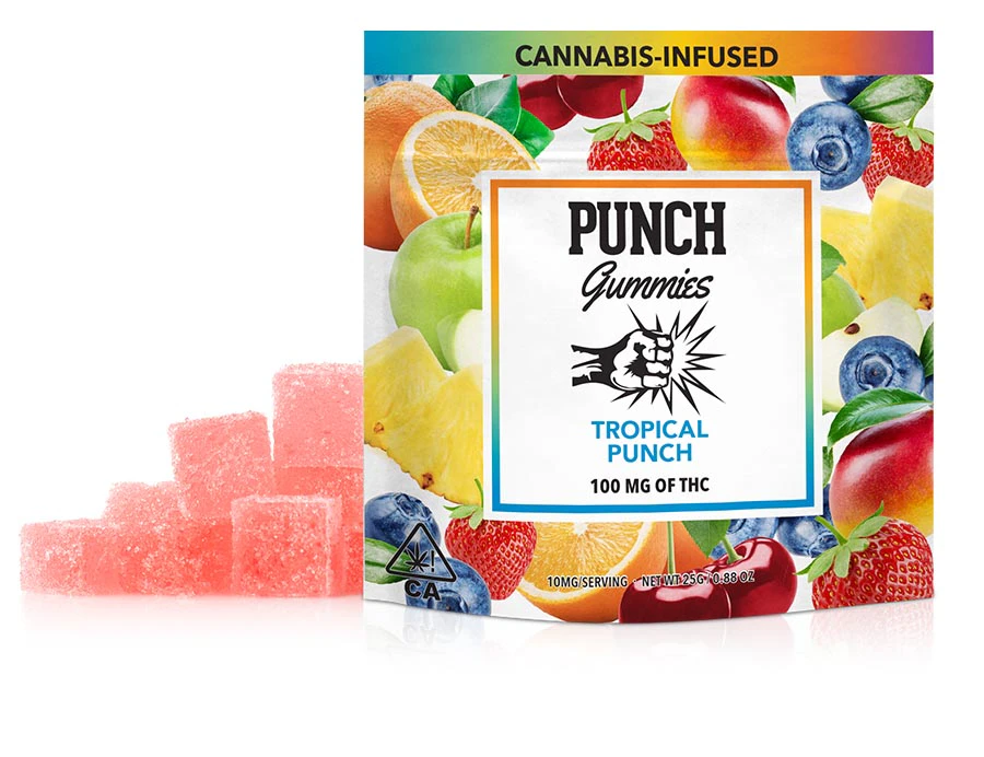 Punch - Tropical Punch | 100mg Gummies | Punch Main Image