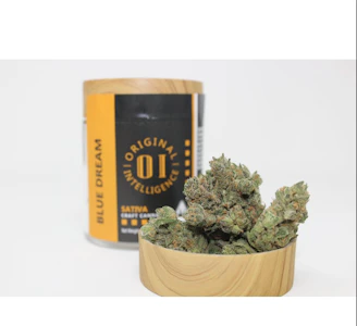 ORIGINAL INTELLIGENCE - Blue Dream