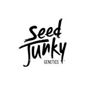 Pineapple Bang - 3.5g (S) - Seed Junky